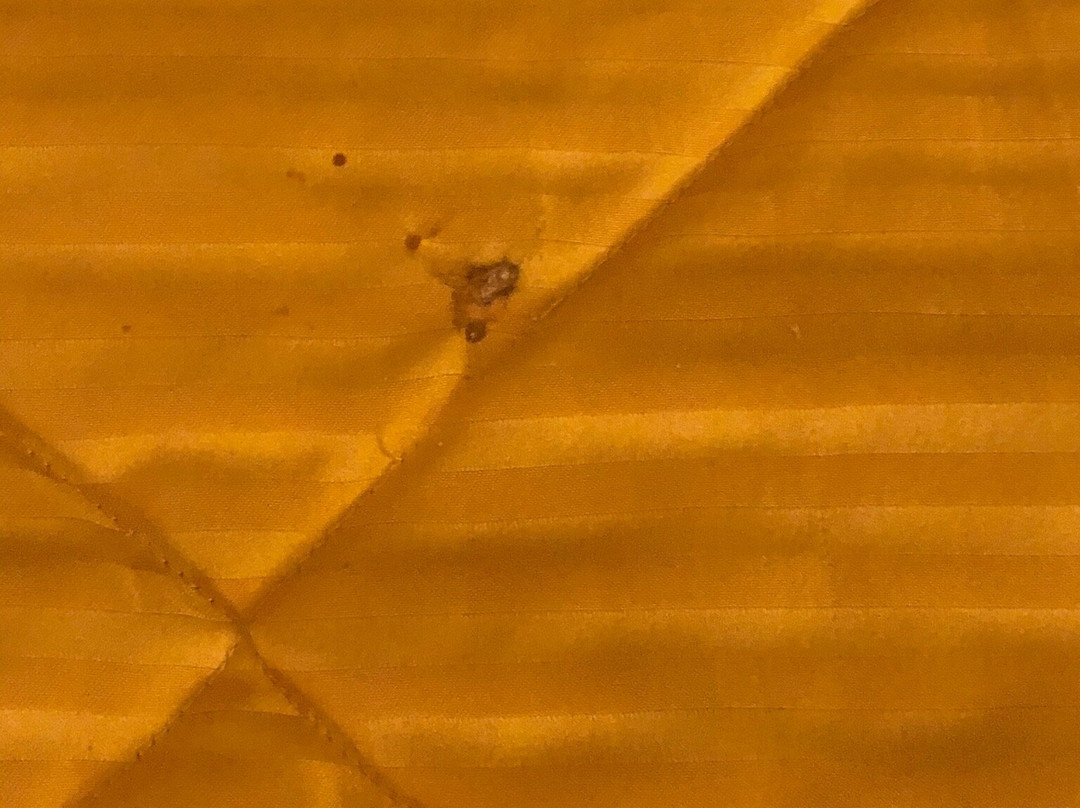 Country Hearth Inn & Suites主图