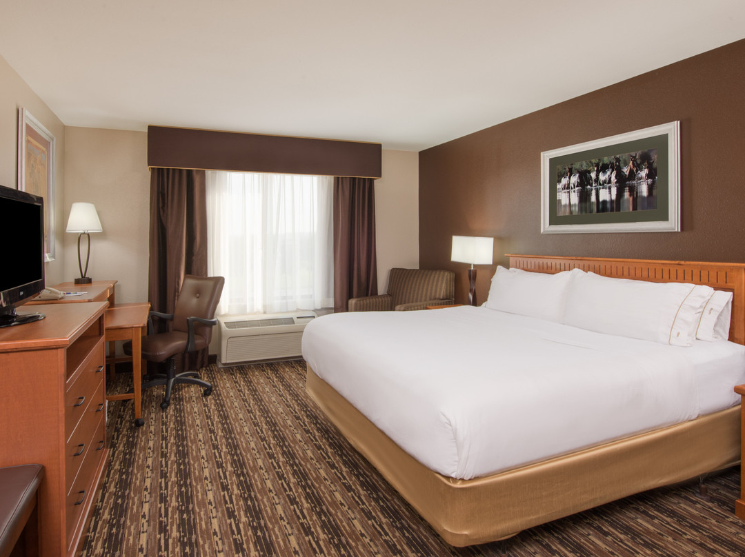 Holiday Inn Express & Suites Douglas by IHG主图