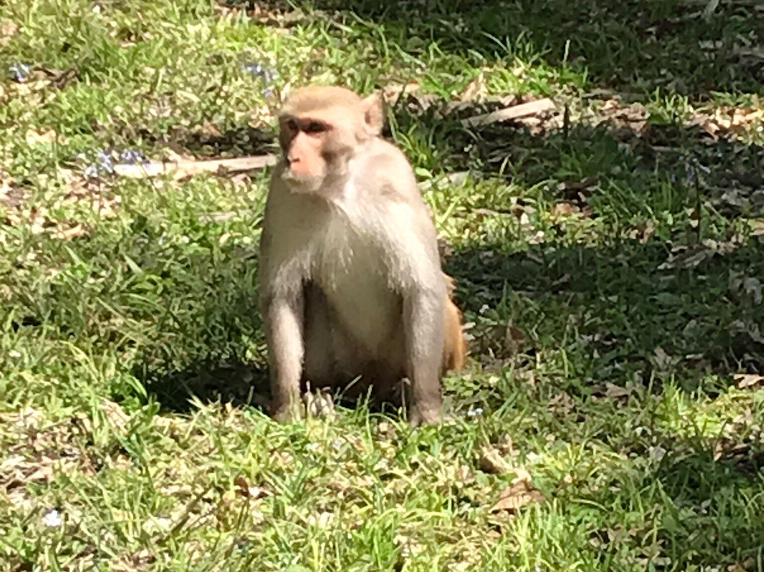 Silver Springs Kayaking LLC-Silver Springs必去景点