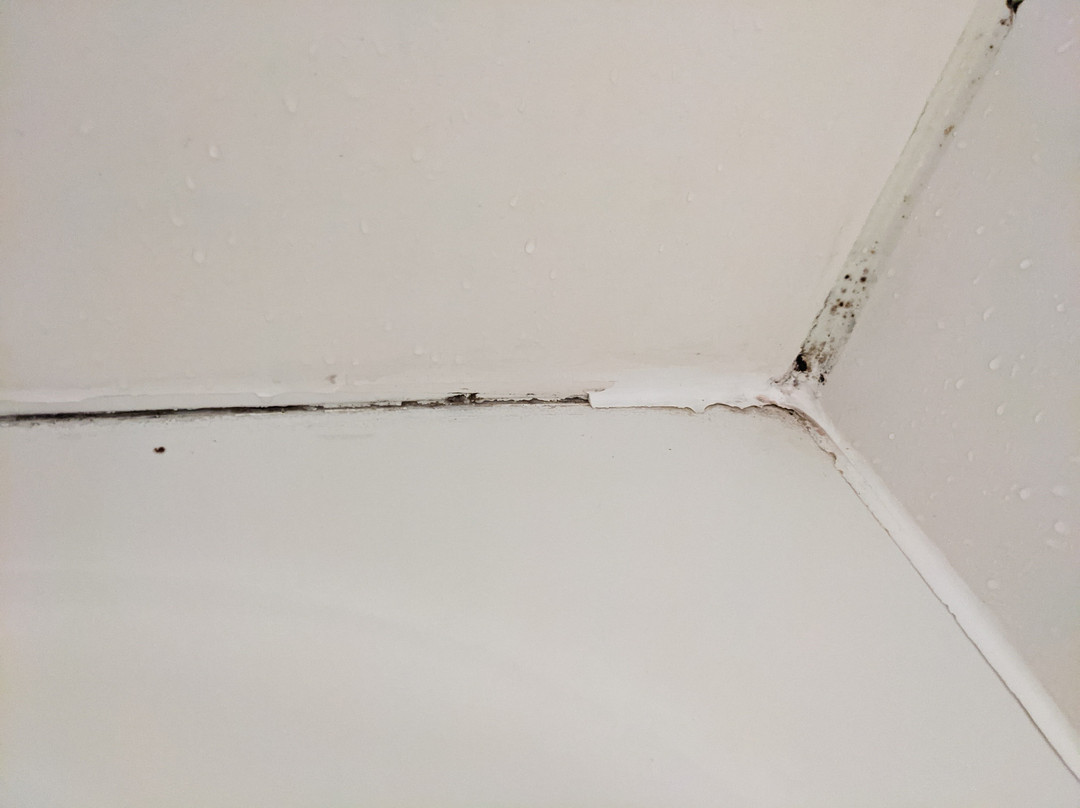 Quality Inn Hattiesburg主图