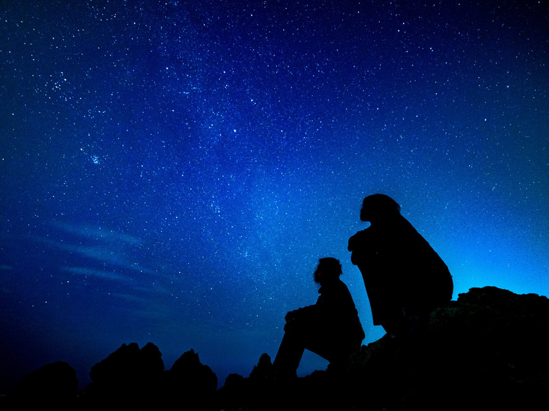 HABU ASOBI-名护市必去景点