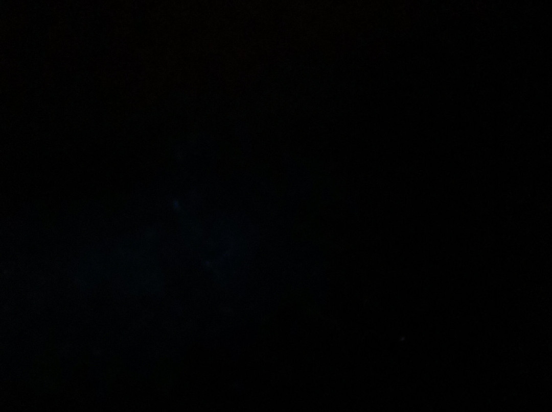 Eddy’s Bioluminescent Reserve景点图片