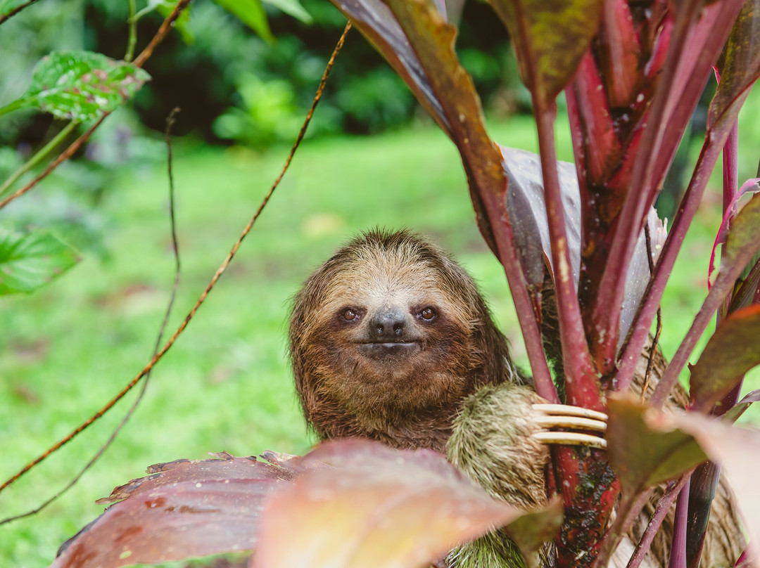 Side by Side ATV Tours & WILD LIFE-塔马林多必去景点