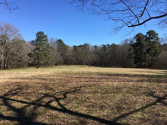 Robert L. Bridges Park-Statham必去景点