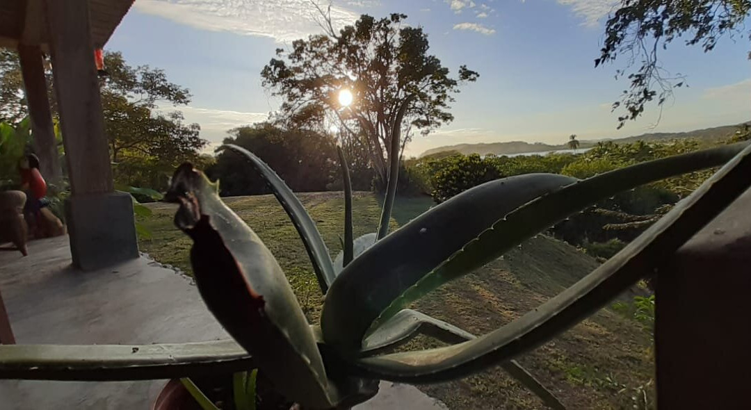 La Puesta del Sol B&B主图