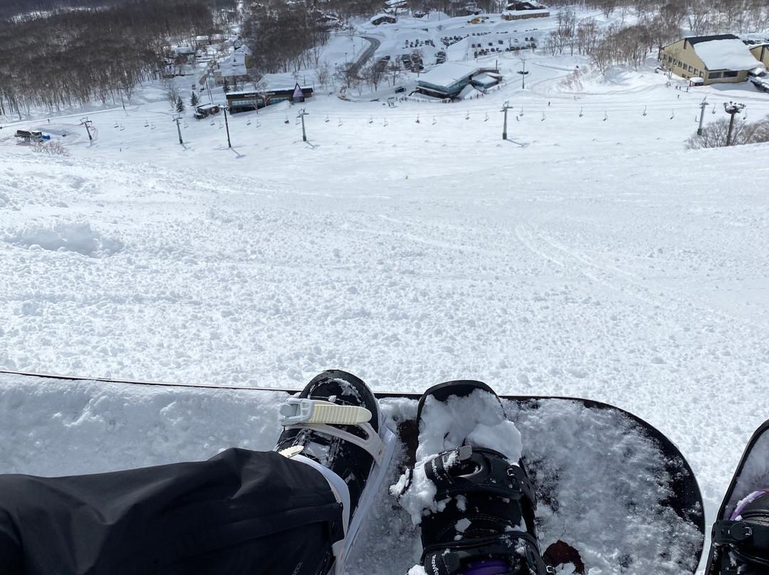 二世古安努普里国际滑雪场景点图片