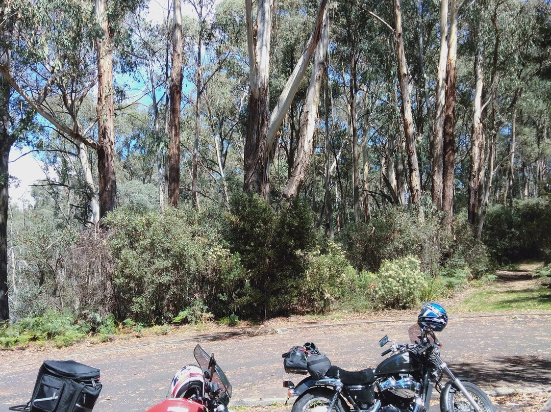 Scammells Lookout-Khancoban必去景点