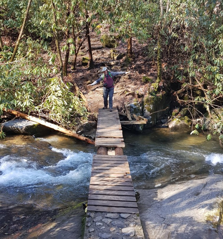 Hemlock Falls Trail-Clarkesville必去景点
