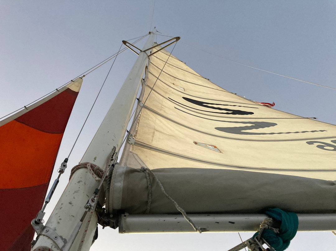 Bay Wind Sailing Charters-Port Isabel必去景点