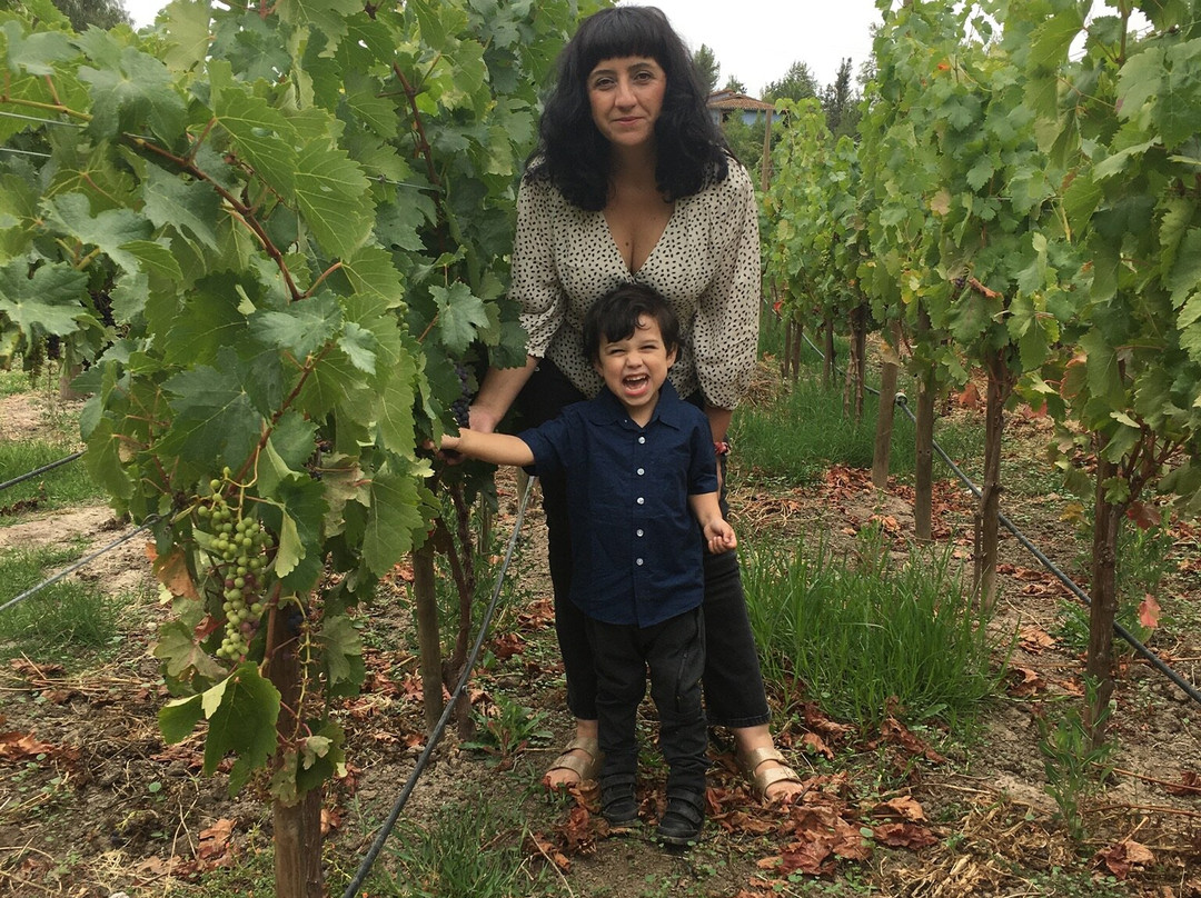 LA VIÑA DEL SEÑOR-Melipilla必去景点