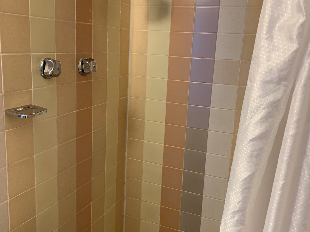 Basecamp at Snowbowl主图