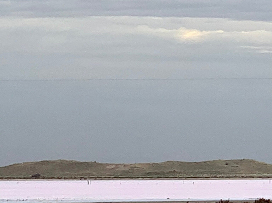 Pink Lake景点图片