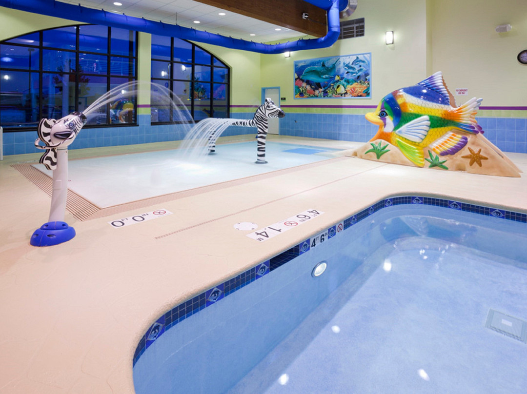 Holiday Inn Express & Suites Rogers By IHG主图