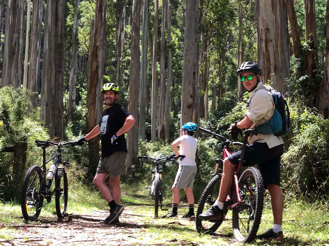 Warburton Adventure Company-华伯登必去景点