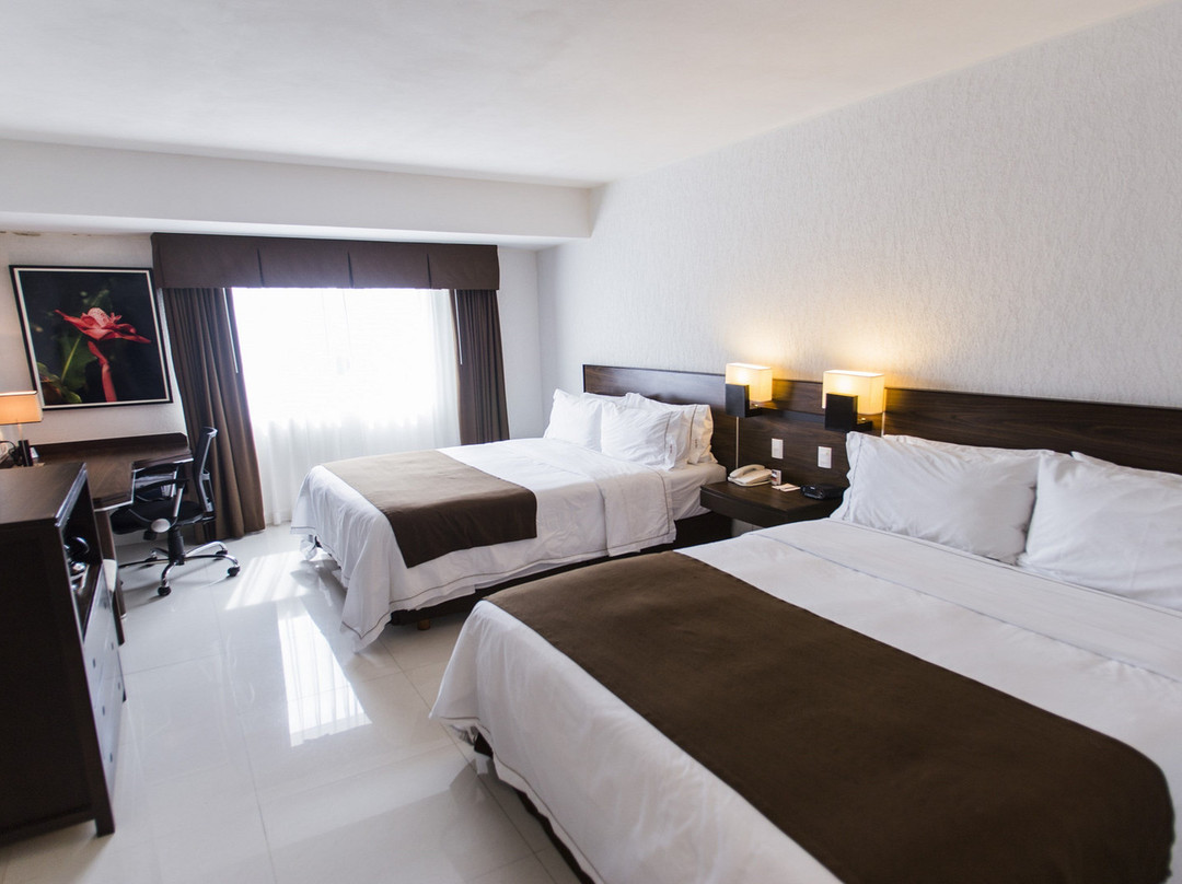 Holiday Inn Express Tuxtla Gutierrez La Marimba by IHG主图