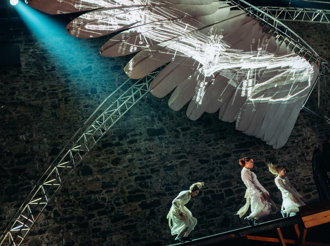 Savonlinna Opera Festival-萨翁林纳必去景点