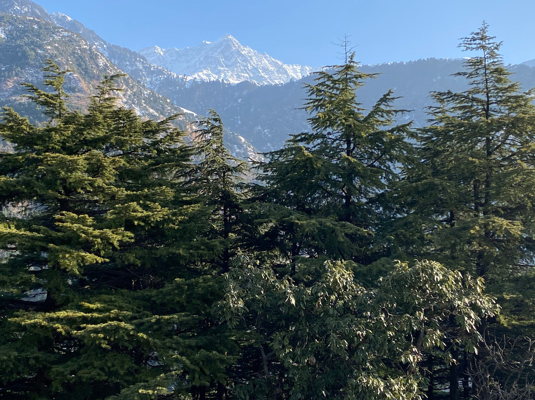 Hyatt Regency Dharamshala Resort主图