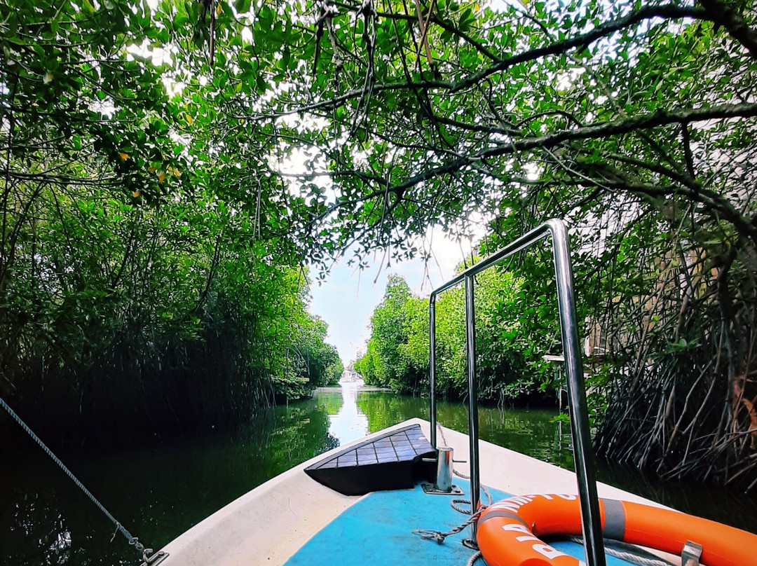 Negombo Lagoon-尼甘布必去景点