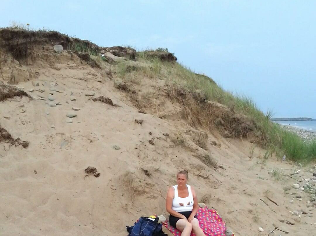 Newport Beach-Newport -Trefdraeth必去景点