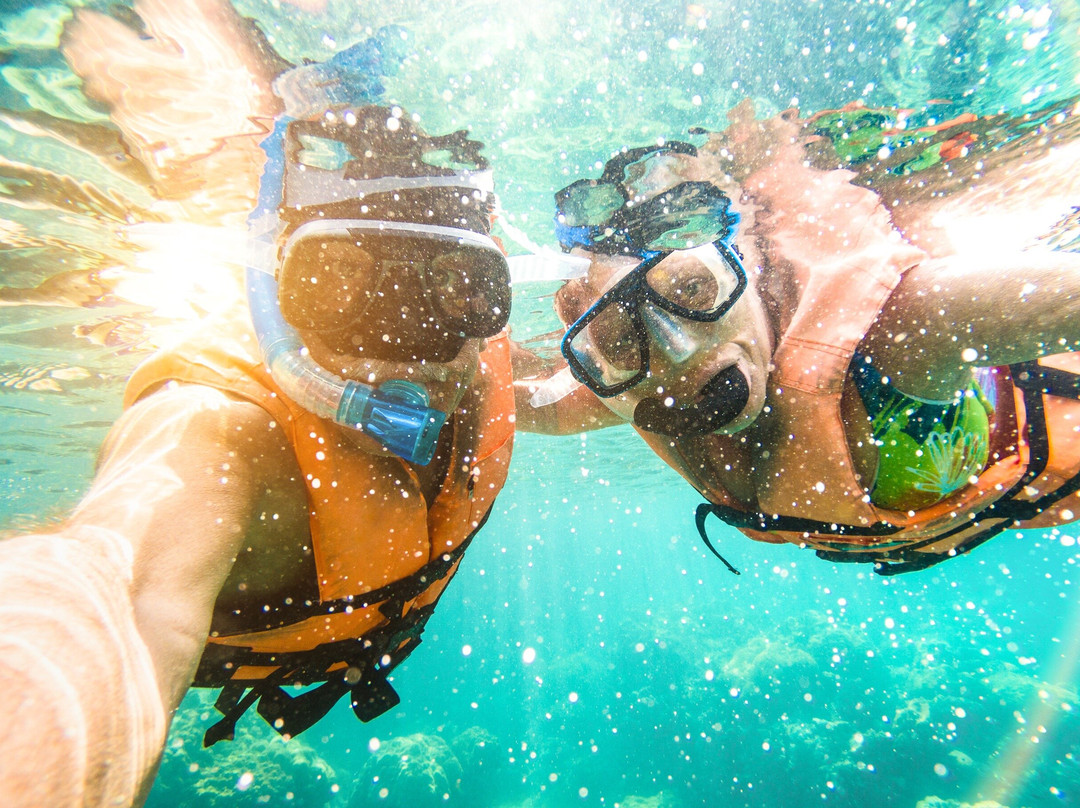 Zan Archpelago Tours & Safaris-桑给巴尔岛必去景点