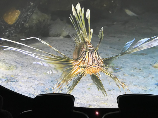 ICR Discovery Center