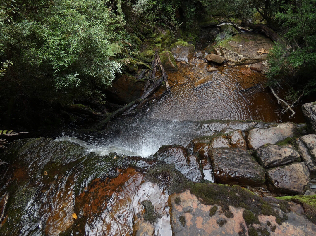 Adamsons Falls景点图片