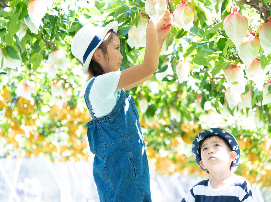 Hamamatsu Fruit Park Tokinosumika景点图片