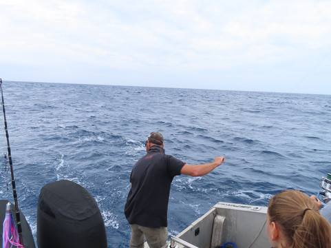 Long Island Fishing-努美阿必去景点