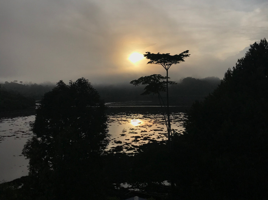 Loagan Bunut National Park-美里必去景点