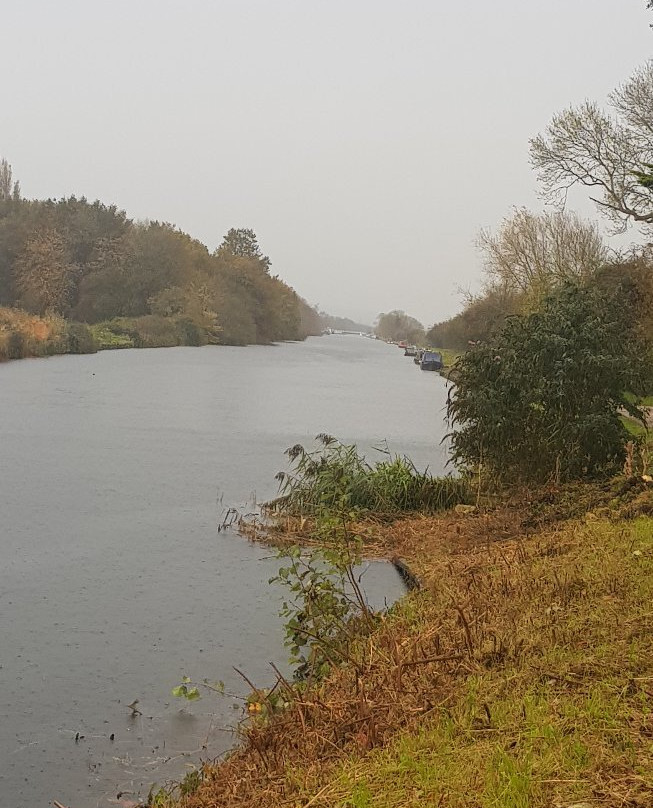 Arlingham旅游攻略图片