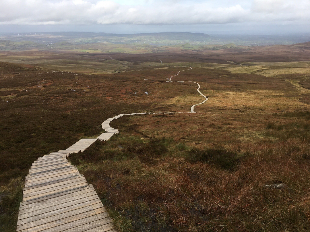 Cuilcagh Mountain Park-Florencecourt必去景点