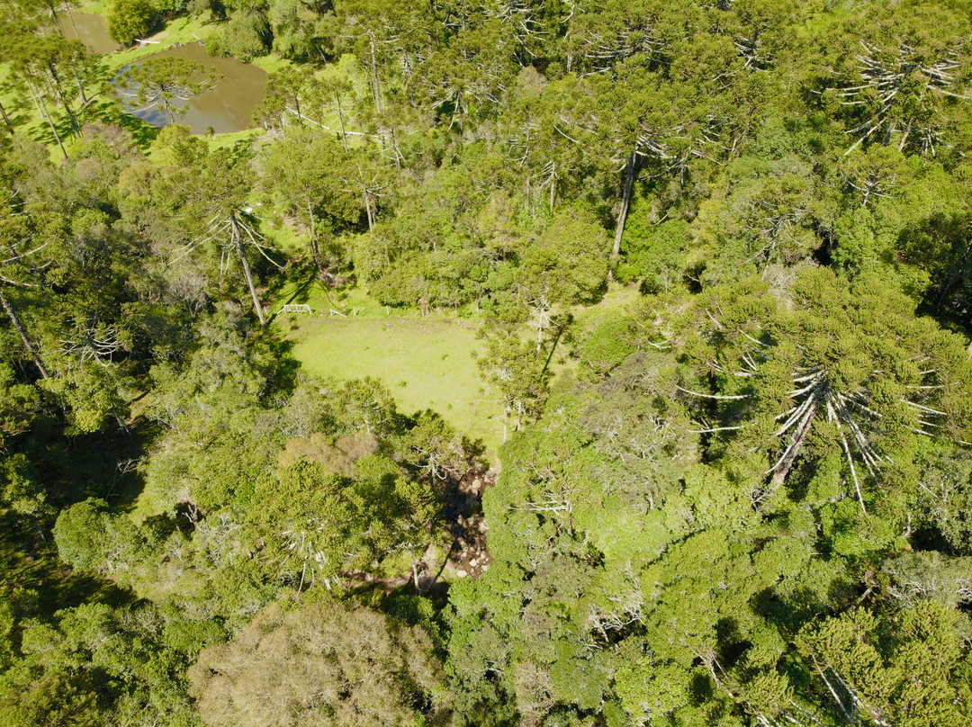 Caverna Rio dos Bugres-Urubici必去景点