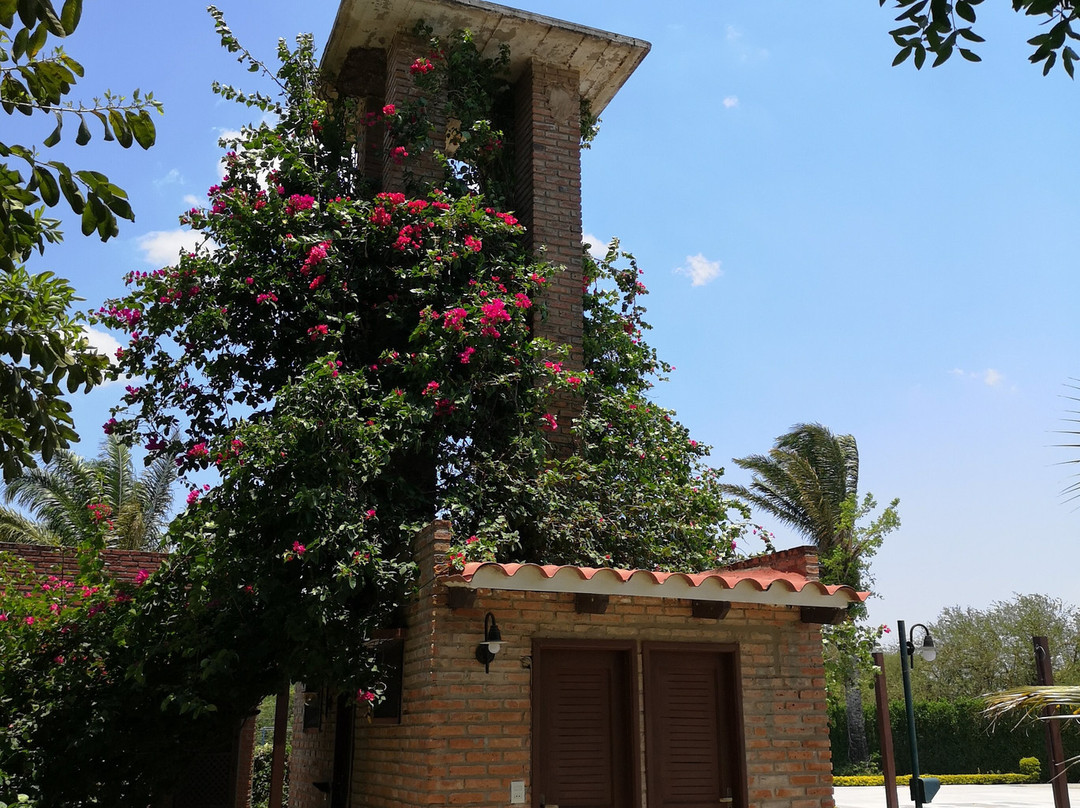 Los Jazmines Hotel Resort主图