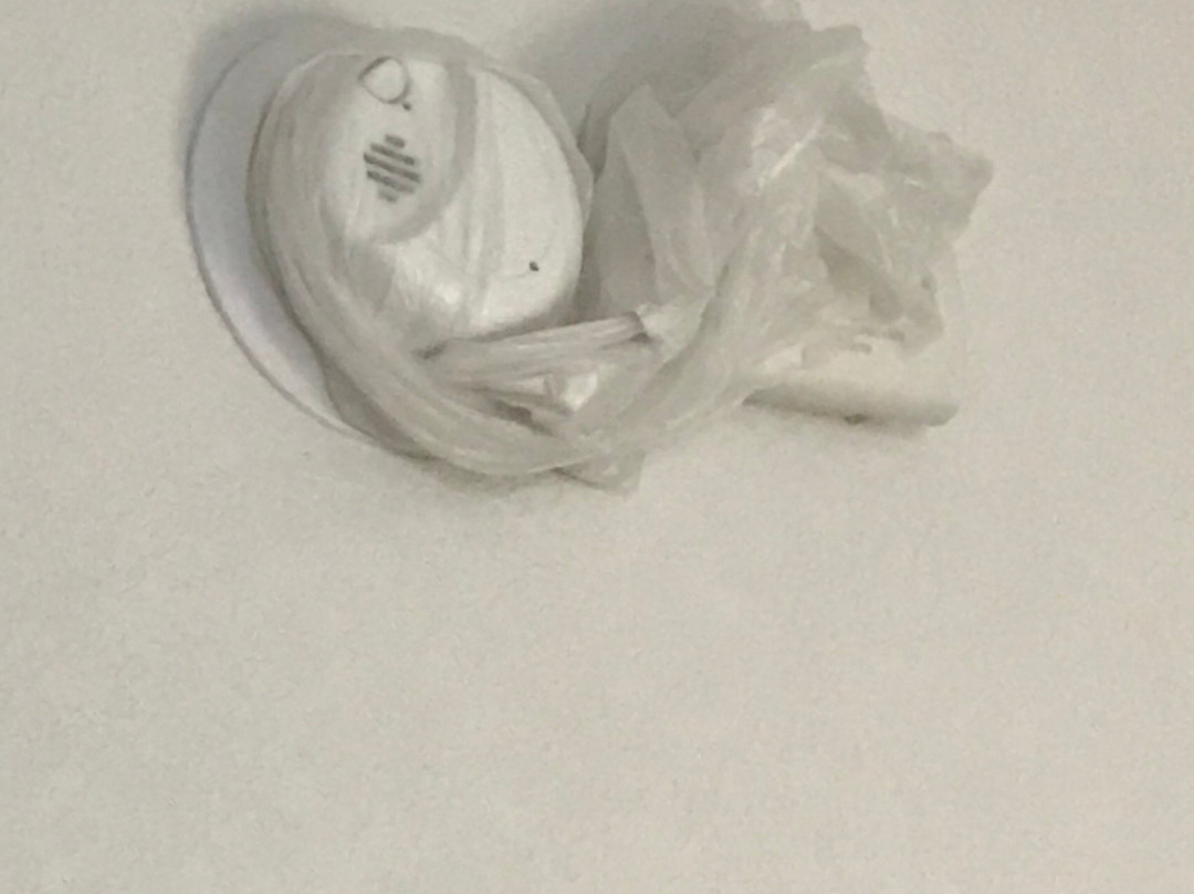 Best Western Plus Dayton Hotel & Suites主图