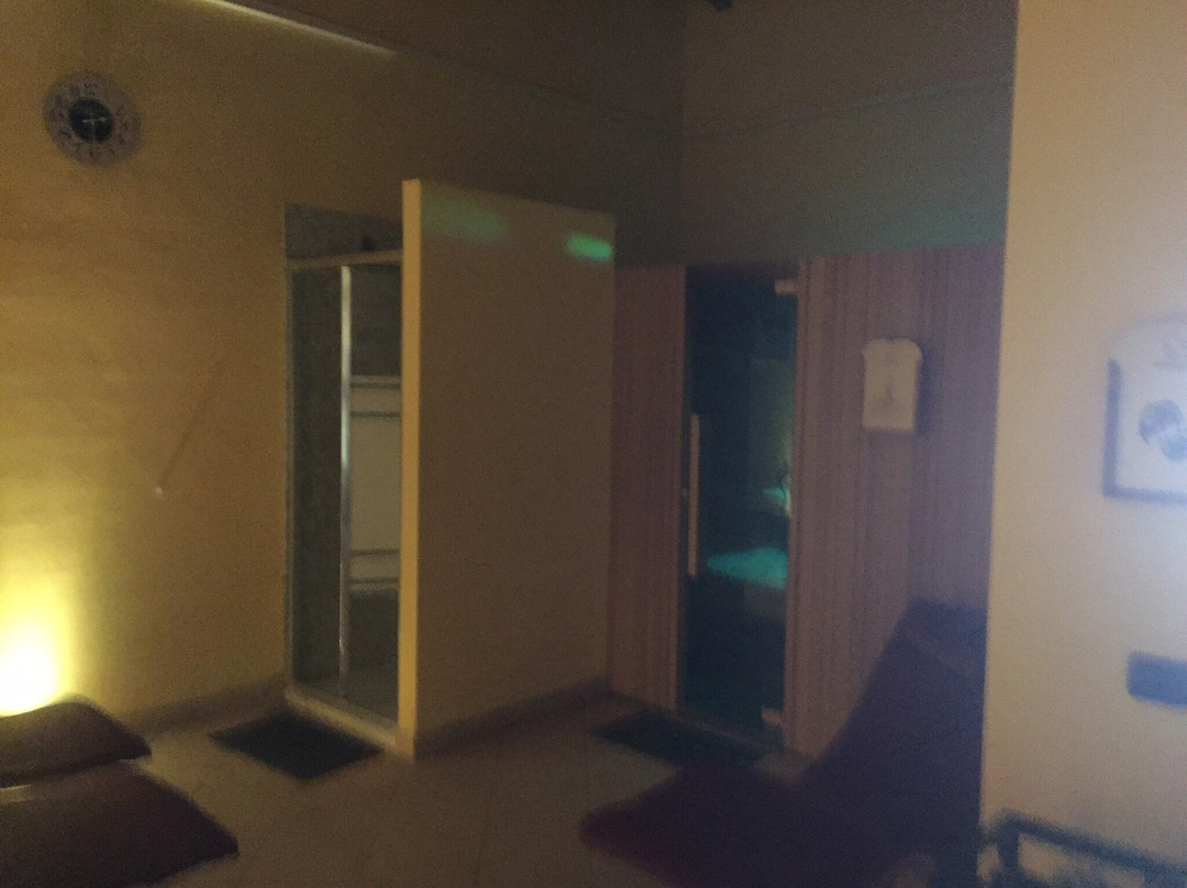 WPS Wellness and Private Spa景点图片