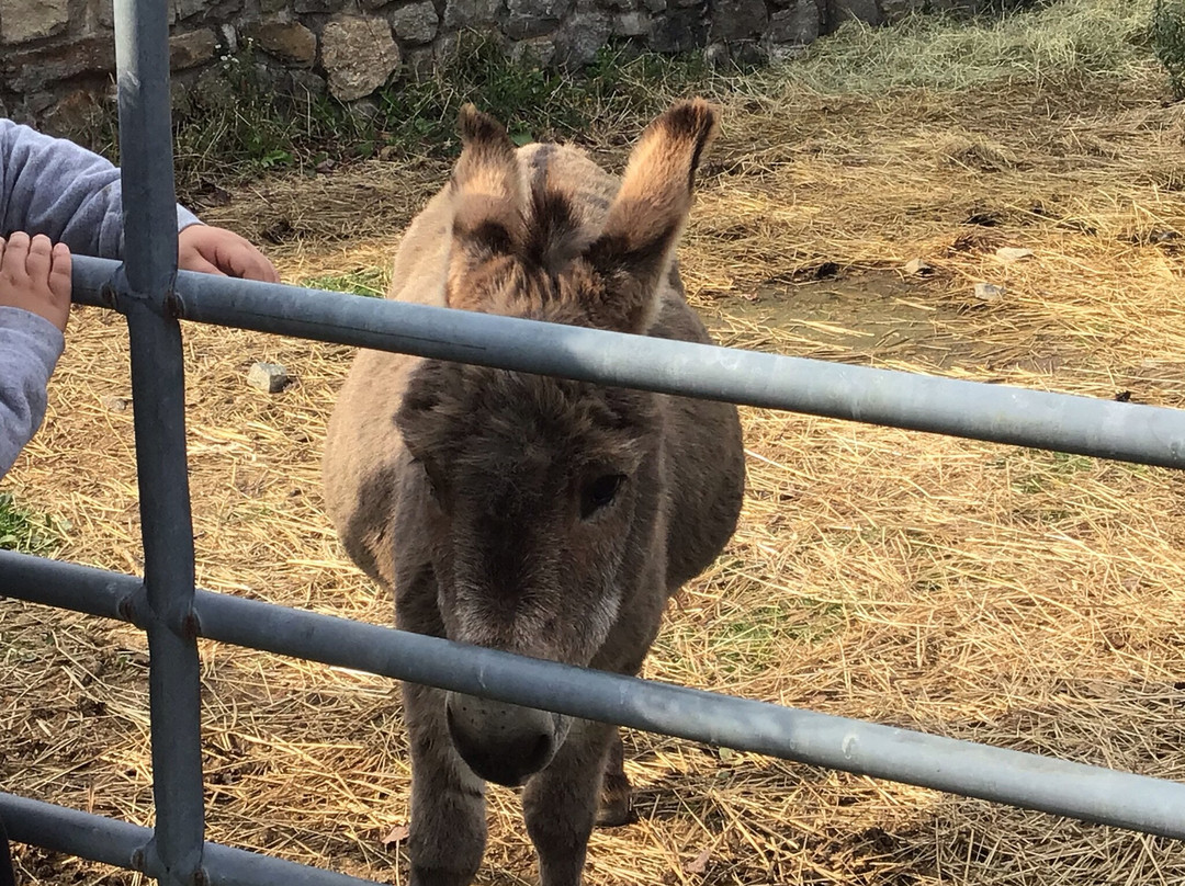 Action Wildlife Foundation-Goshen必去景点