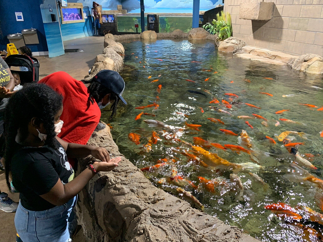 Woodbridge Aquarium & Wildlife景点图片