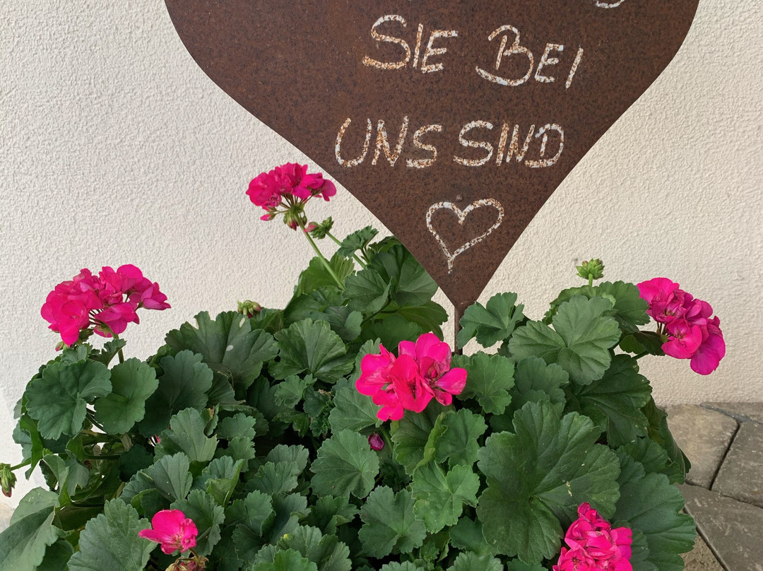 MONS. Suites. Wine. Passion.主图