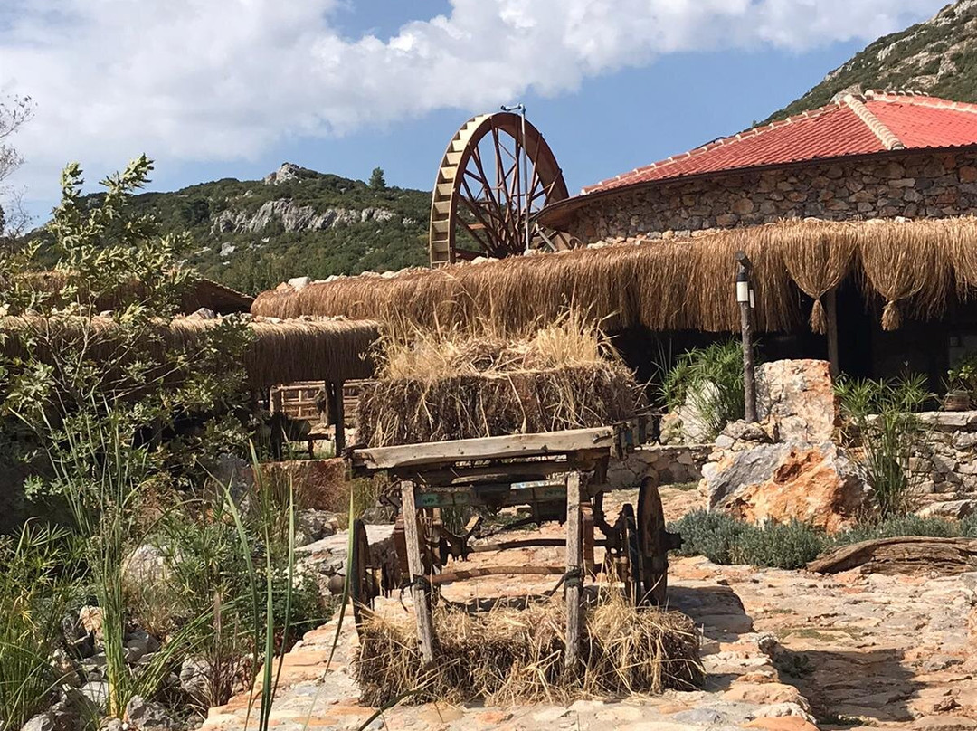 Yenice Vadi Natural Life Village主图