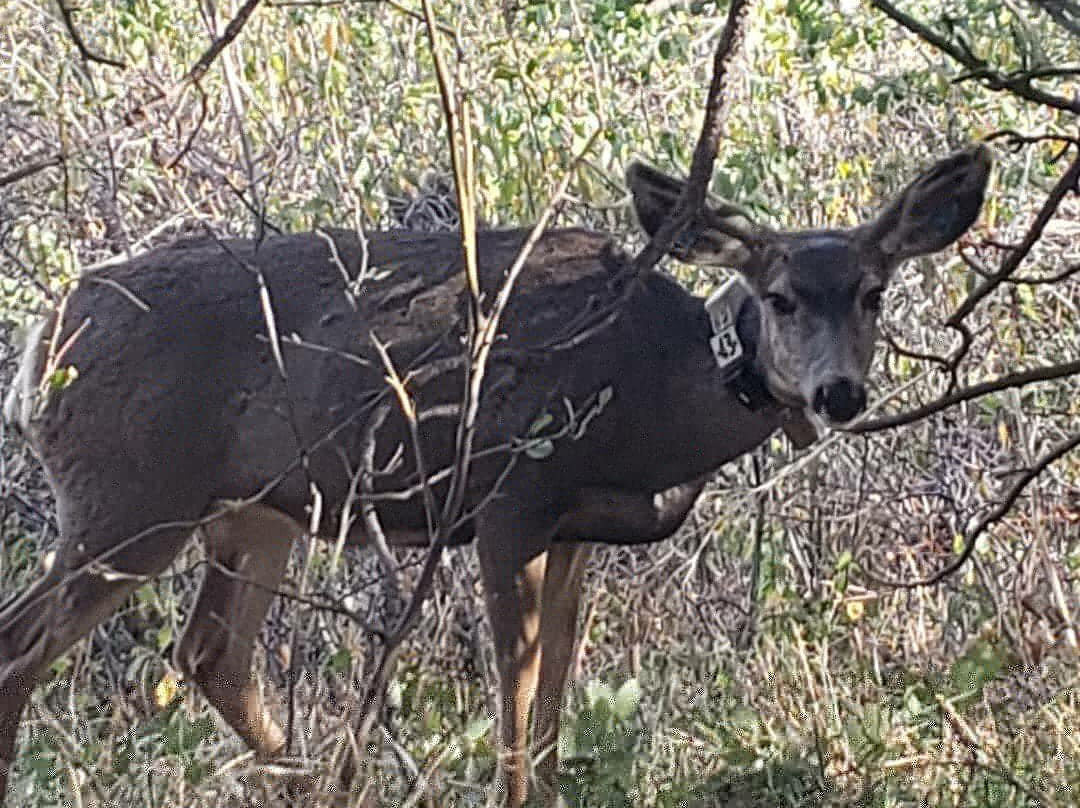 Royal Arch-博尔德必去景点