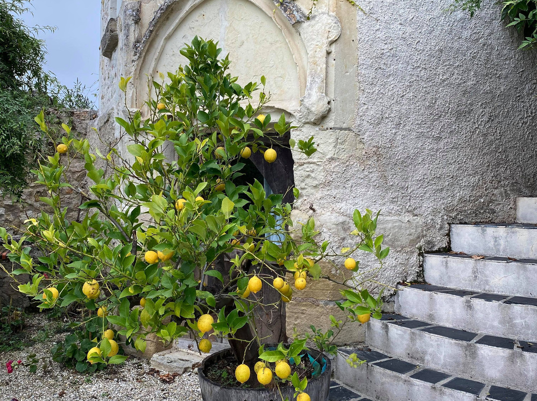 Le Grand Menasson主图