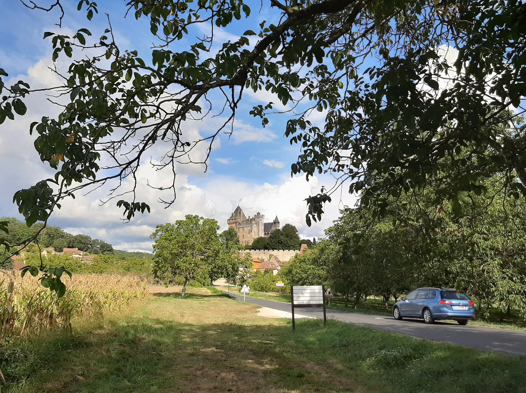 Chateau de Montfort景点图片