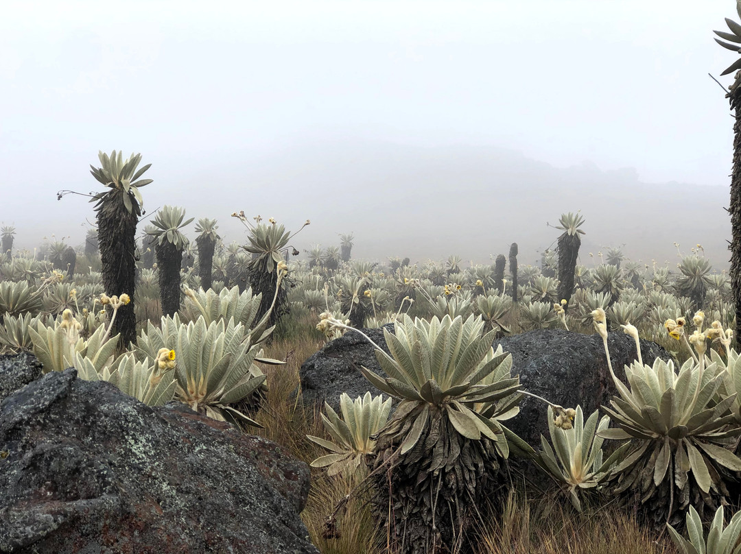 Eco Aquitania Tours-Aquitania必去景点