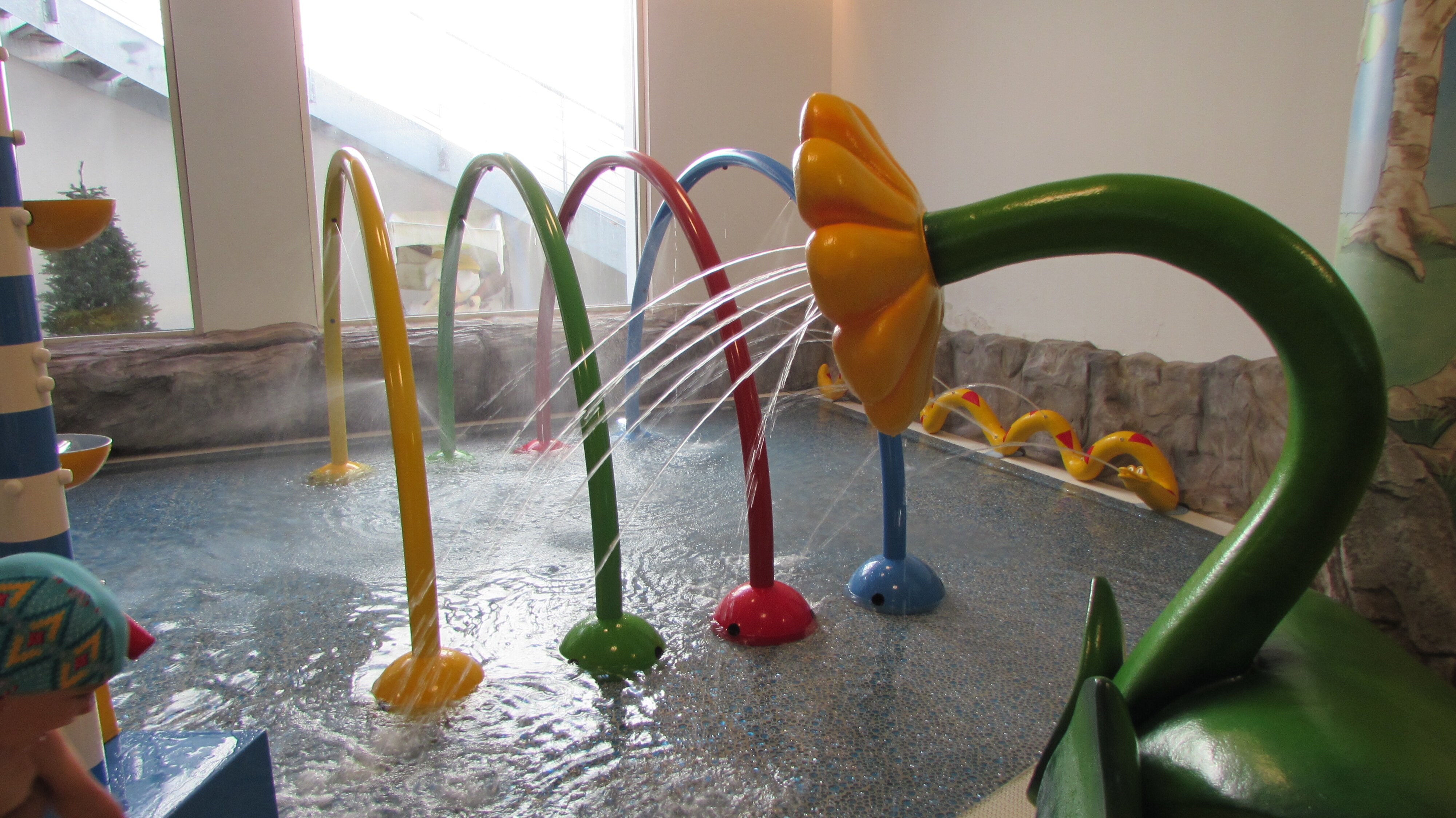 Alpino Baby Family Hotel-泳池
