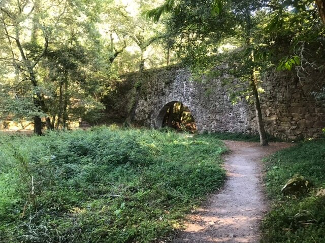 Finca de O Frendoal景点图片