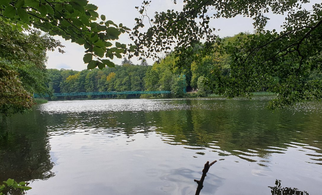 Raduń Lake景点图片