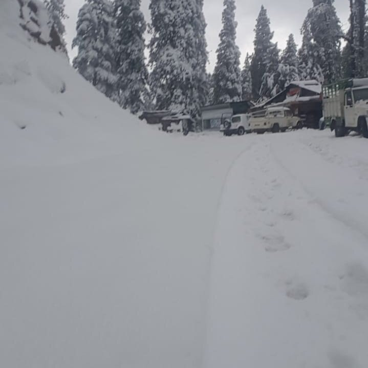 Chandigarh Rose Garden-昌迪加必去景点