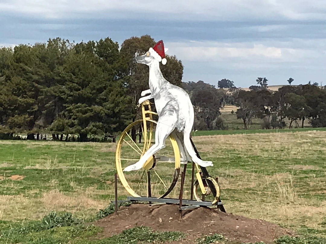 Animals on Bikes-Molong必去景点