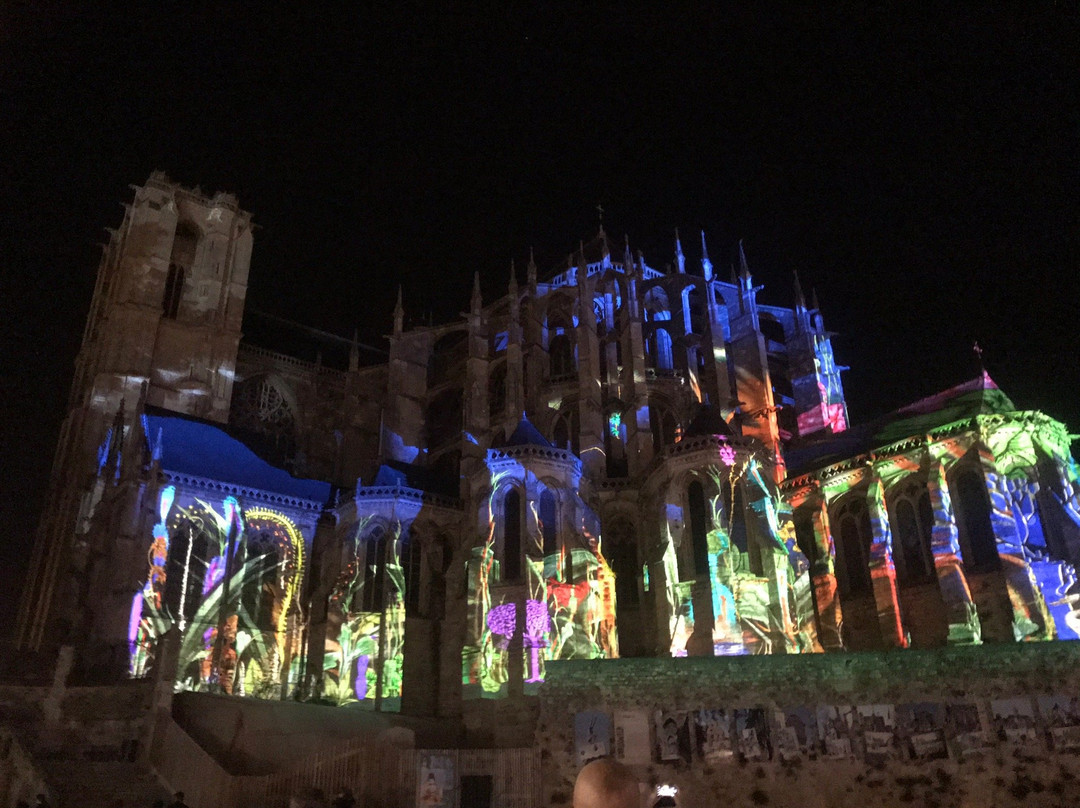 La Nuit des Chimeres景点图片