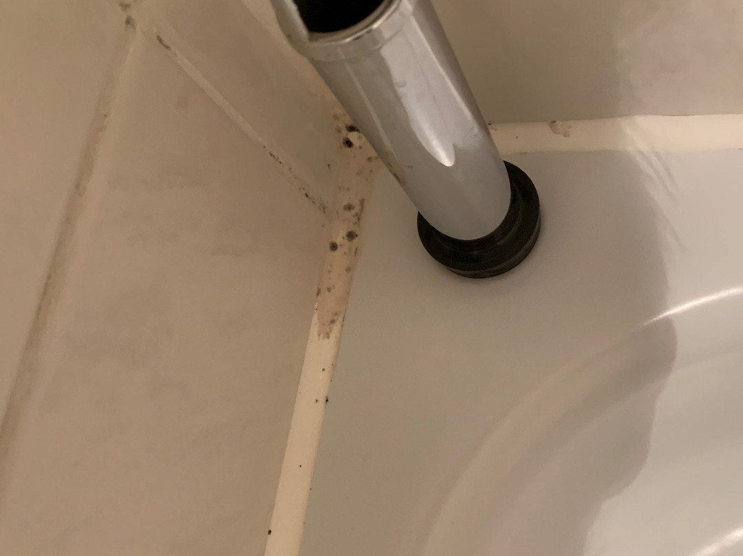 Hotel Luitpold Am See主图